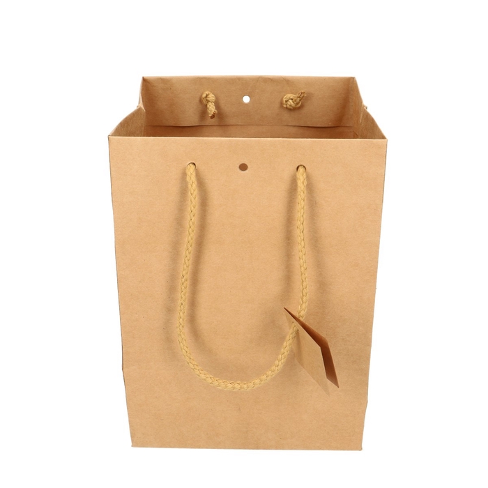 <h4>Bags Gift bag 18*18*25cm</h4>