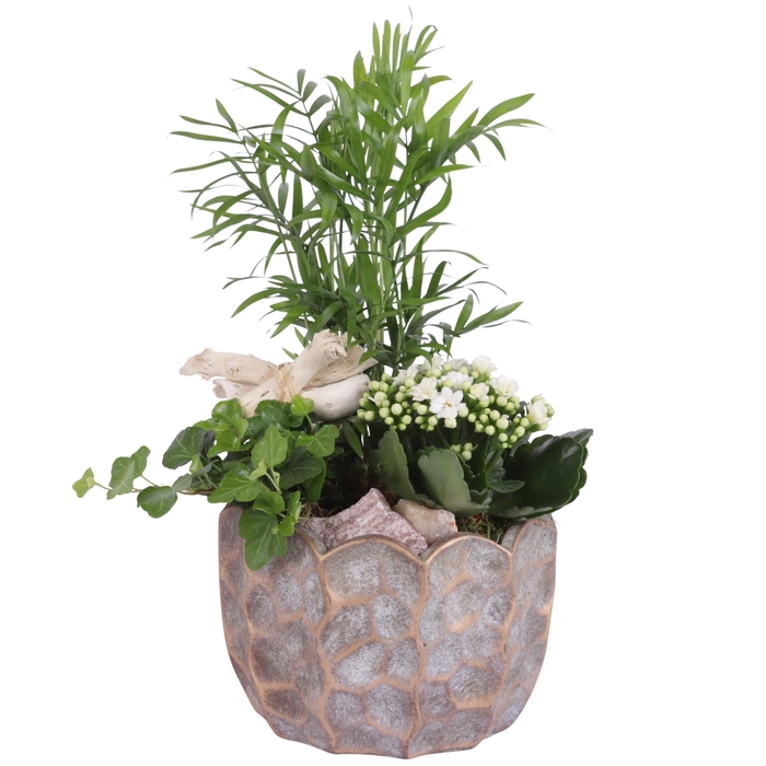 <h4>Yearround Arr. Indoor Ceramic Pure Luxury PL670 Ø18cm 3PP</h4>