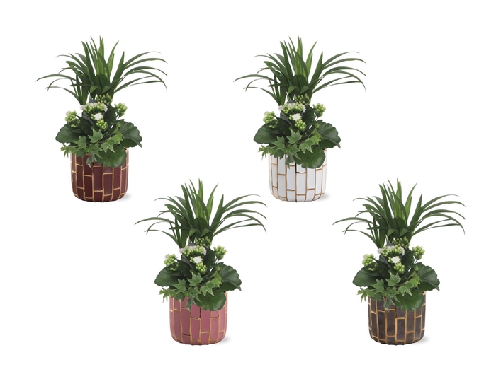 <h4>Collectie "Luxury World" arrangementen in keramiek Pascalle</h4>