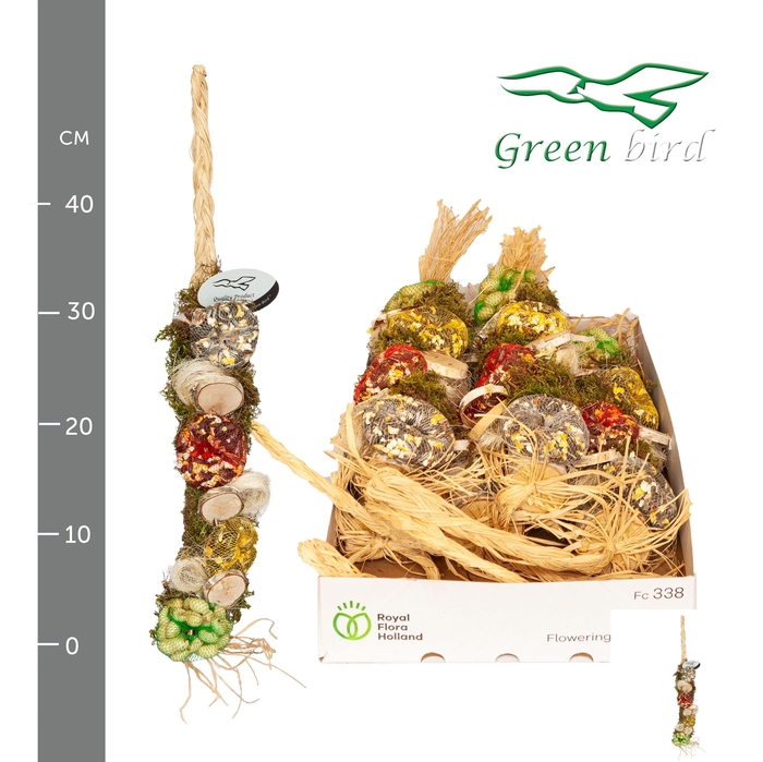 <h4>VOGELZAADFIGUUR</h4>