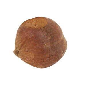 Planter Coconut Retro D18