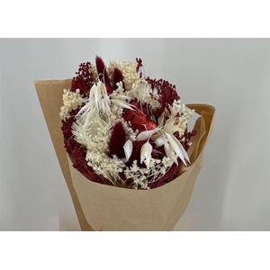 Dr Bqt Bleach Small Burgundy