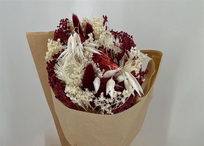 <h4>Dr Bqt Bleach Small Burgundy</h4>