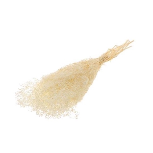 Bunch Gypsophila Pres.Slv 100g L40/50