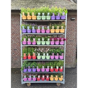 Vaste planten mixkar