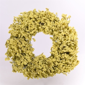 Wr Limonium Diamond 30cm Yellow