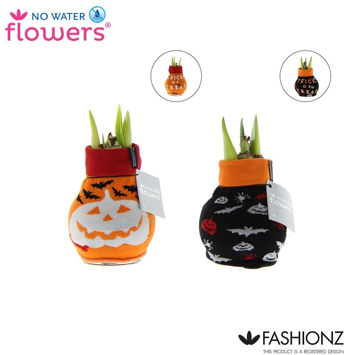 <h4>arr4 Amaryllis VH - Fashionz Halloween</h4>