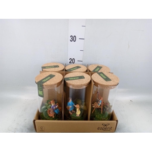 Arr.    Planten  L%