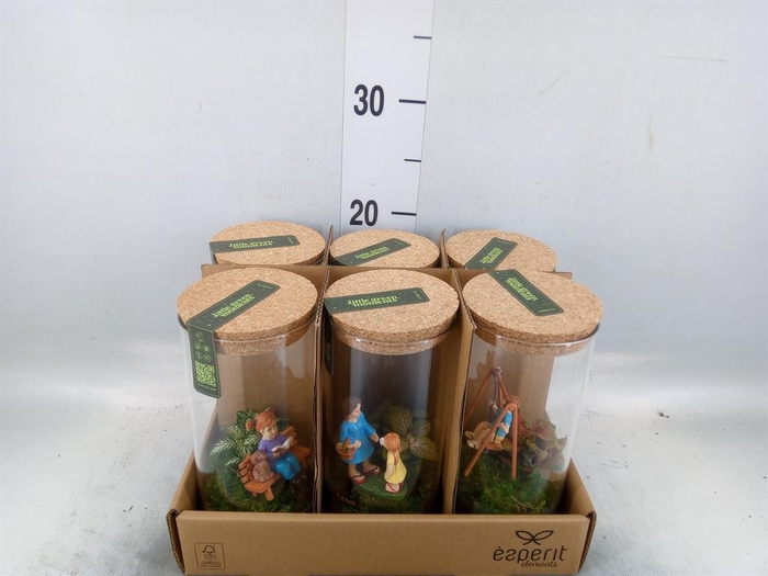 <h4>Arr.    Planten  L%</h4>