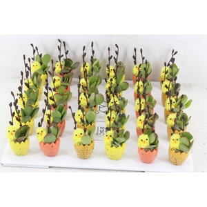 arr3 AD - Paas dobbeltjes