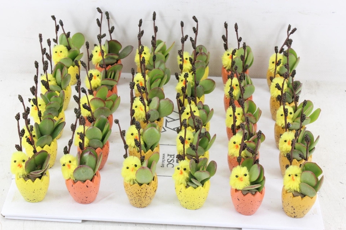 <h4>arr3 AD - Paas dobbeltjes</h4>