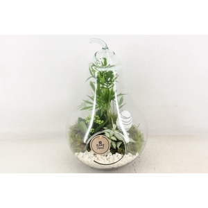 arr2 PL - Glazen peer XL - wit