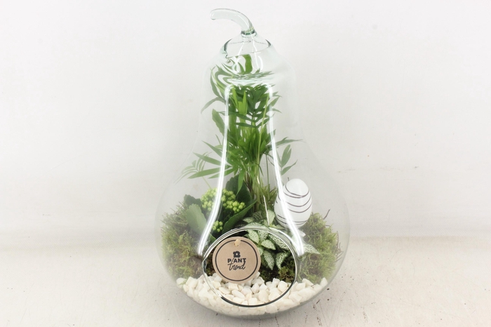 <h4>arr2 PL - Glazen peer XL - wit</h4>