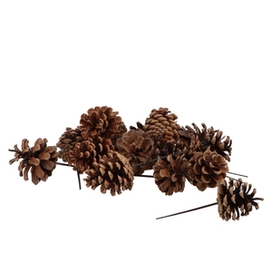 Pick Nature Plug Austrians P/200