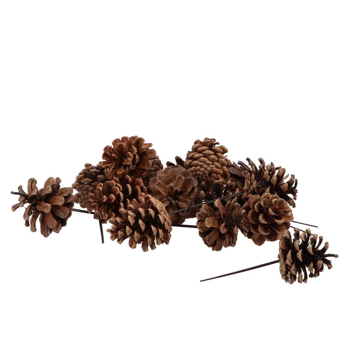 <h4>Pick Nature Plug Austrians P/200</h4>