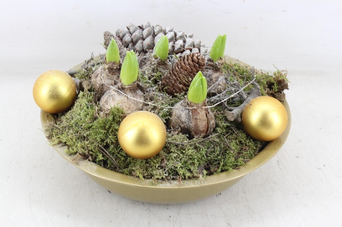 <h4>arr4 Hyacint MB - Zink gold schaal LED</h4>