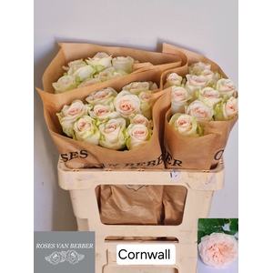 R GR CORNWALL