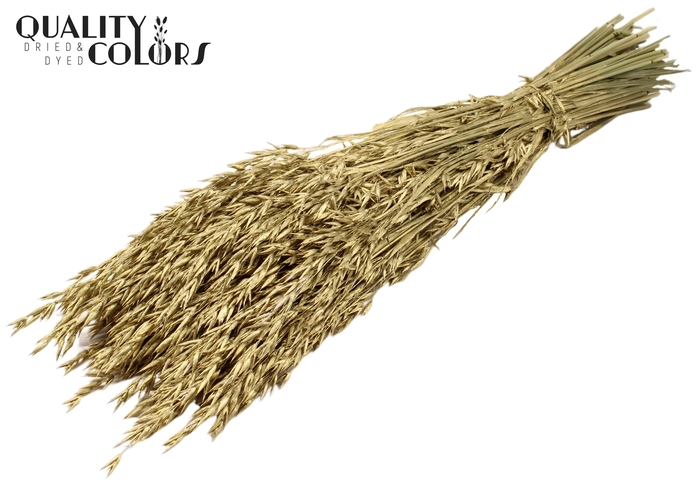 <h4>Avena per bunch Gold</h4>