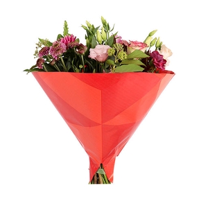 Hoes 35x35cm Angelo 45gr wit kraft Triangle rood 500/doos