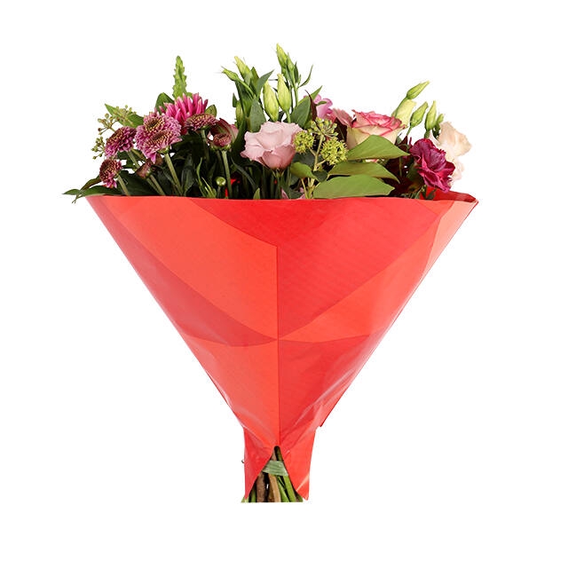 <h4>Hoes 35x35cm Angelo 45gr wit kraft Triangle rood 500/doos</h4>
