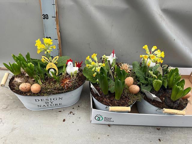 <h4>ARR BOL KNOLGEWAS</h4>