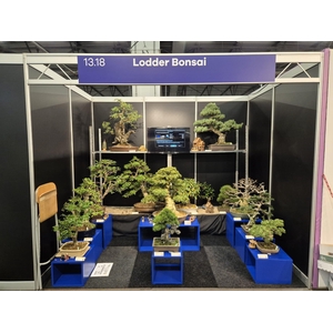 Complete contents of the exhibiton stand (14 trees)