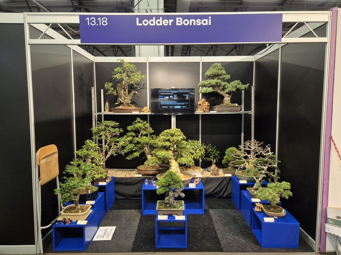 <h4>Complete contents of the exhibiton stand (14 trees)</h4>