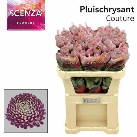 <h4>Chr G Couture</h4>