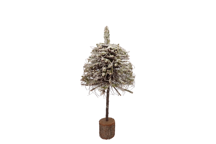 Festive Tree Poplar Moss With Snow 20x20x50cm