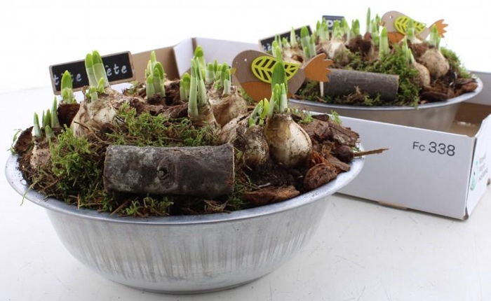 <h4>ARR N TETE A TETE</h4>