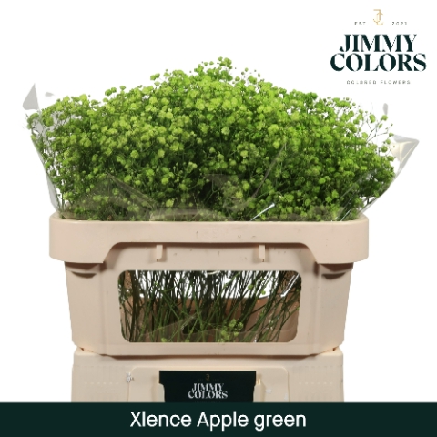 <h4>Gyps Xlence l70 Apple Green</h4>