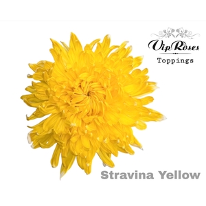 CHR G STRAVINA YELLOW