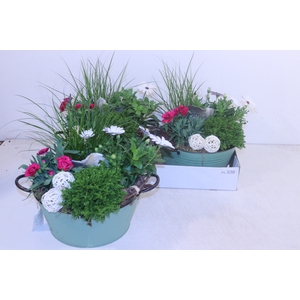 ARR TUINPLANTEN