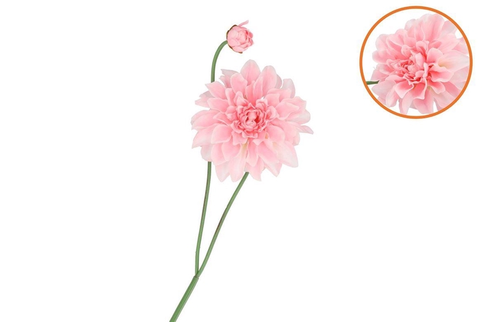 <h4>Silk Dahlia Spike Light Pink 78cm Nm</h4>