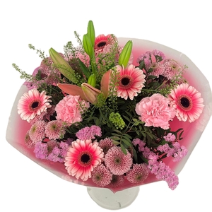 Bq Volume Voltage Pink L