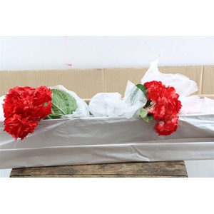 Hydr M Therese Red Tinted X12