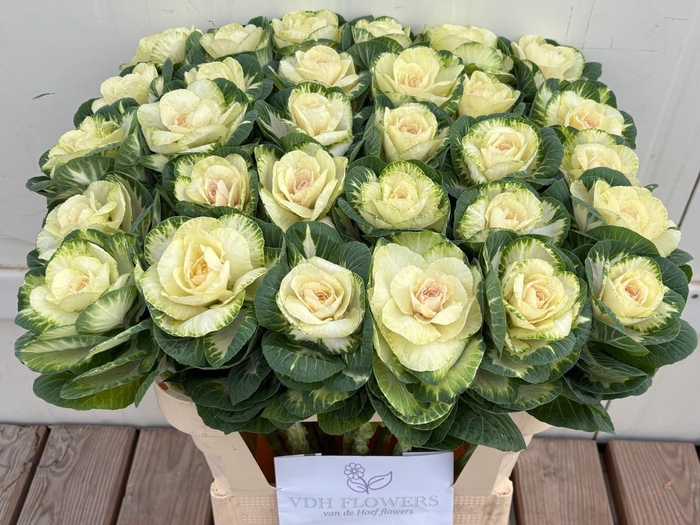 <h4>BRASS WHITE CRANE</h4>