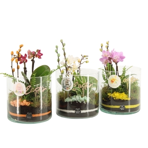 70870: Easter arrangement