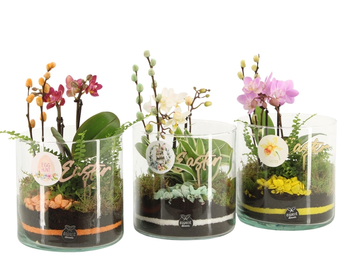 <h4>70870: Easter arrangement</h4>