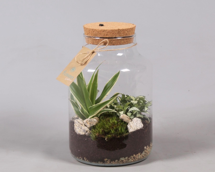 <h4>Terrarium met kurk voorzien van LED verlichting</h4>