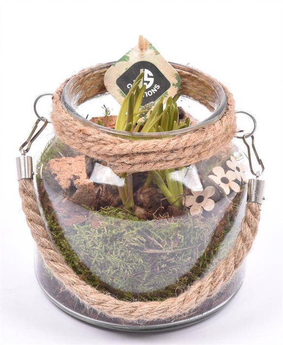 <h4>Glas vaas met touw 16cm</h4>