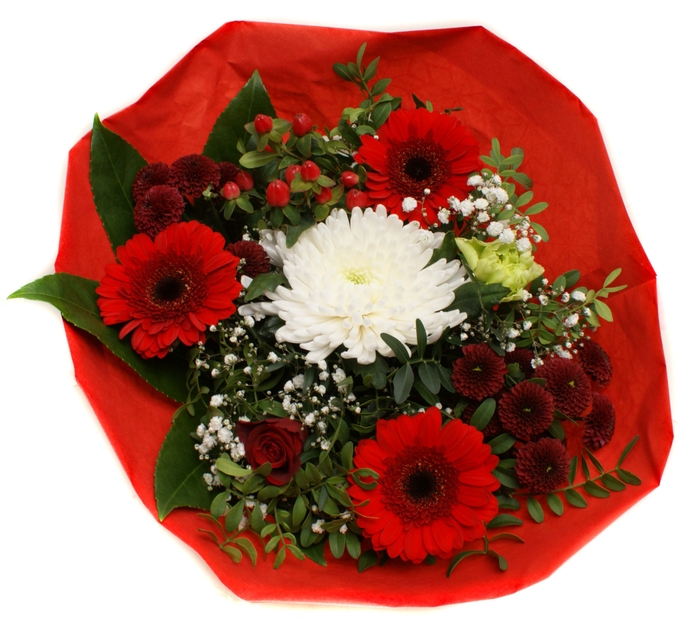 <h4>2025005 Rood</h4>