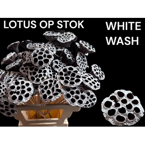 HUIS EN TUINDECO H%