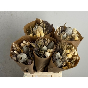 DF Bouquet 50cm Dutch Natural