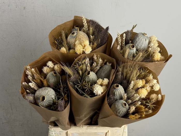 DF Bouquet 50cm Dutch Natural