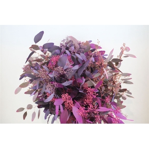 Euca Populus Berry 200gr Mix Pink P Bunch