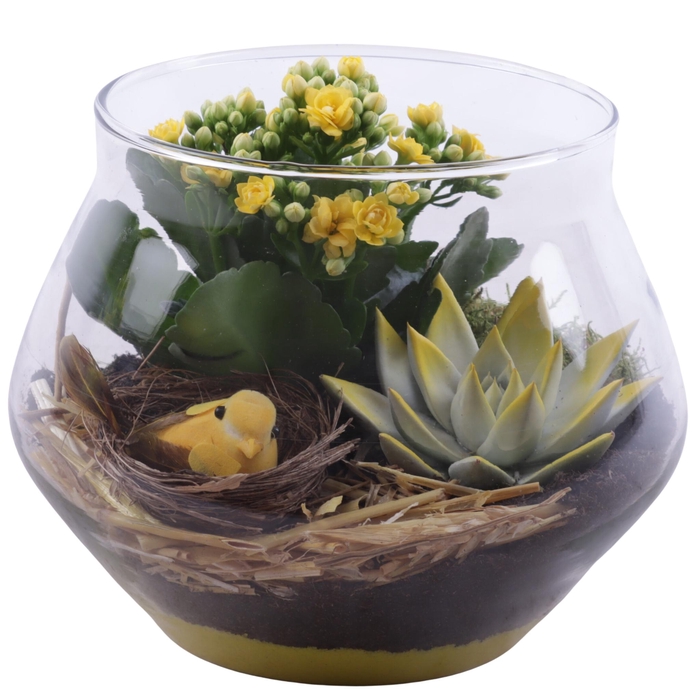<h4>Easter Arr. Indoor Glass UFO Vase Ø20cm 2PP</h4>