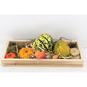 arr4 Sierfruit MB - Hout tray x3