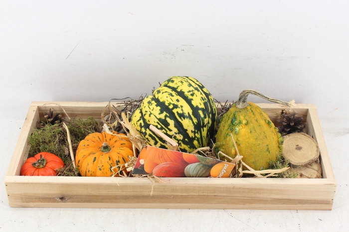 <h4>arr4 Sierfruit MB - Hout tray x3</h4>