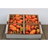 Sier Cuc Solanum X4